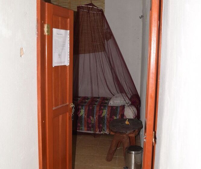 Camping Hostal El árbol De La Vida   Hostel