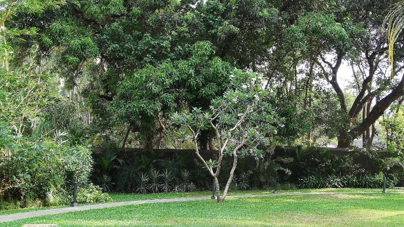 هتل Andores Resort And Spa   Calangute