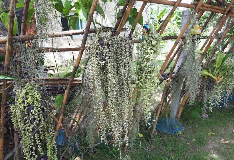 ホテル Baansongkhata