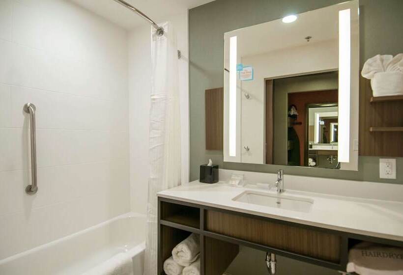 هتل Hilton Garden Inn Jackson/clinton