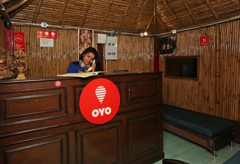 בית מלון כפרי Silver Tree Inn