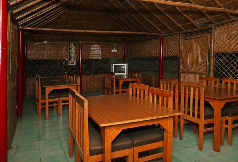 בית מלון כפרי Silver Tree Inn