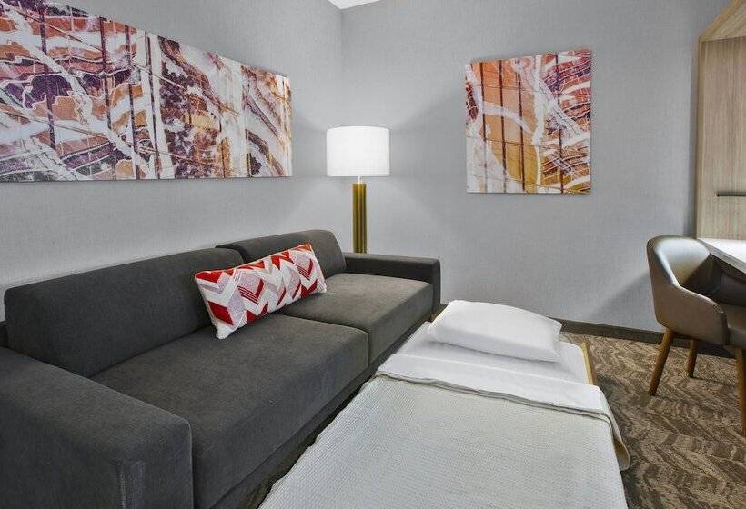 호텔 Springhill Suites By Marriott Chattanooga North/ooltewah