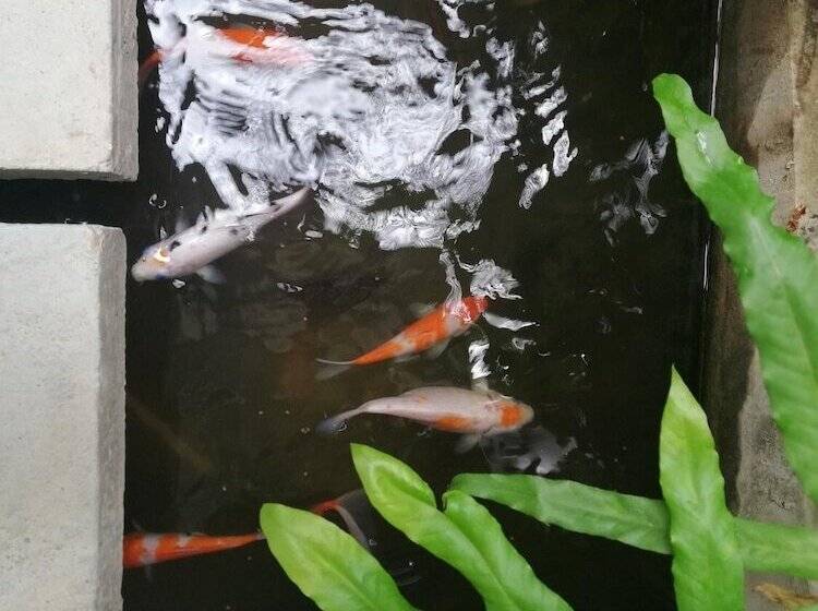 پانسیون Ao Apartment