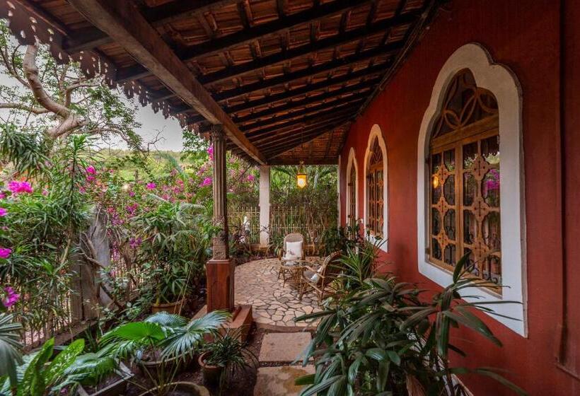 بنسيون Marbella Guest House