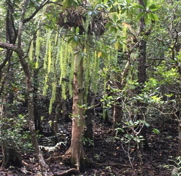 Egrets Rest