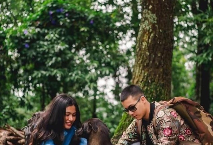 Fotos del hotel Serene Resort:  10