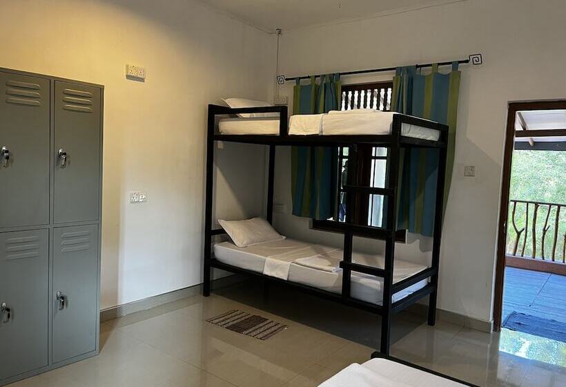 ユースホステル Funky Leopard Safari Lodge Bordering Yala National Park