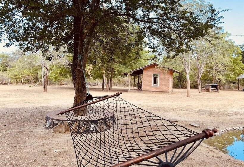 ユースホステル Funky Leopard Safari Lodge Bordering Yala National Park