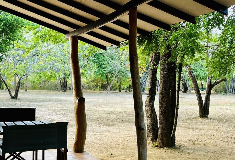 ユースホステル Funky Leopard Safari Lodge Bordering Yala National Park