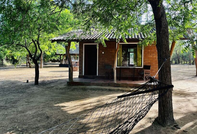 ユースホステル Funky Leopard Safari Lodge Bordering Yala National Park
