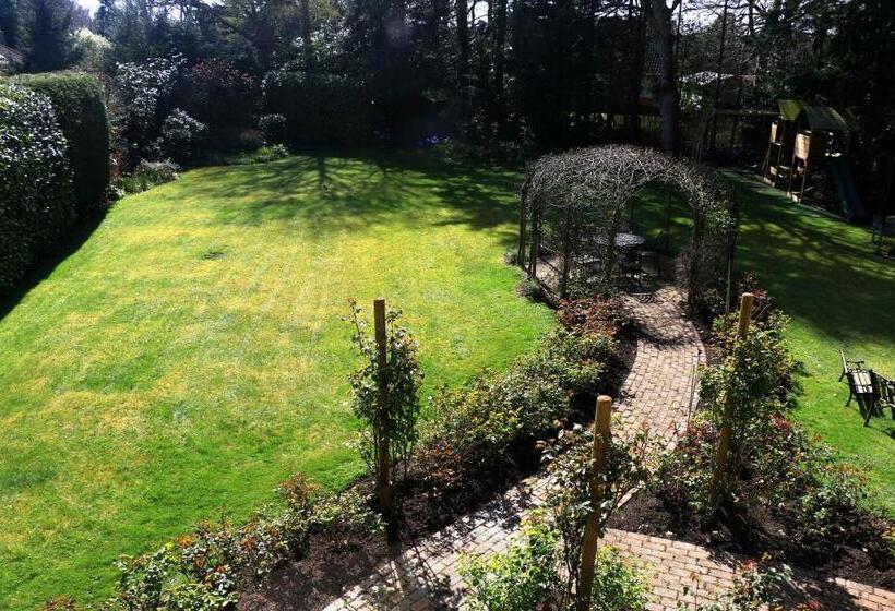 צימר Dawyk Beech Guesthouse