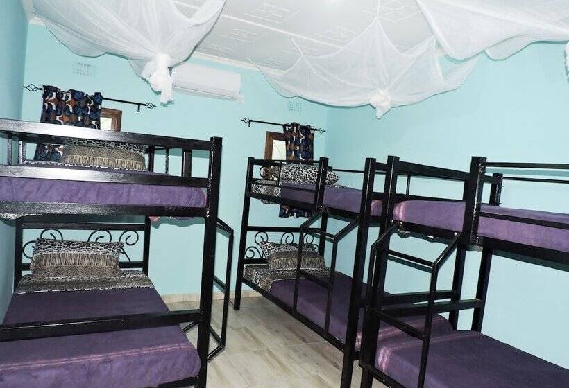 Café Zambezi House Of Africa   Hostel