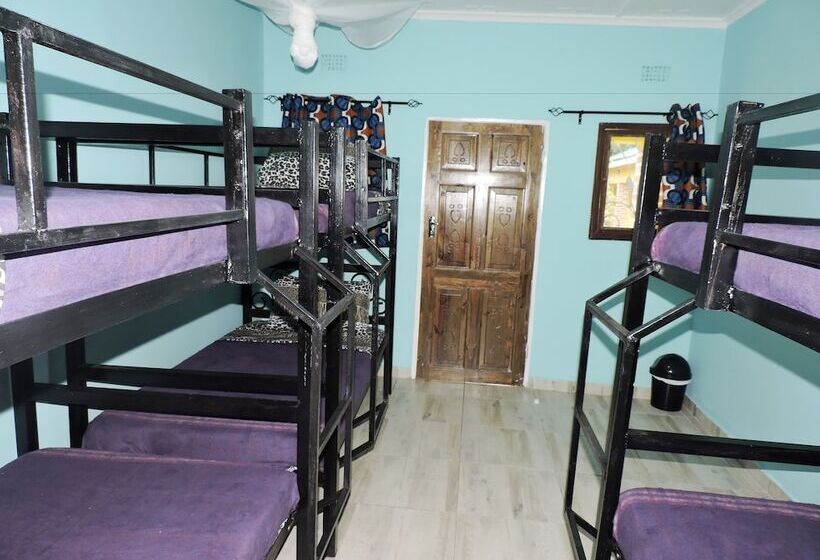 Café Zambezi House Of Africa   Hostel