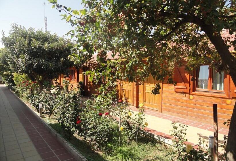 Hostal Gran Avenida