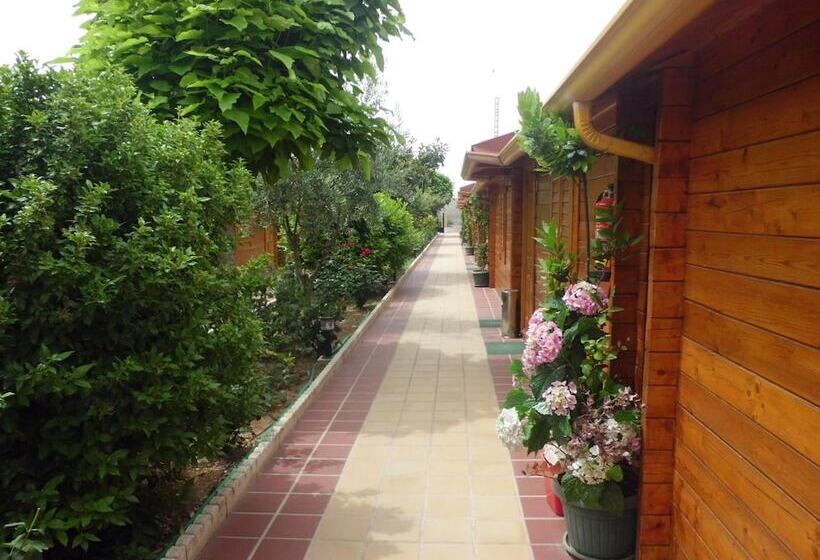 Hostal Gran Avenida