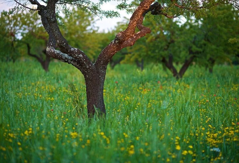 فندق Masseria Ciavea