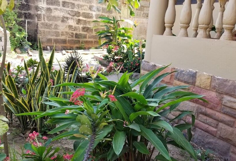 هتل Tropical Nectar Apartment