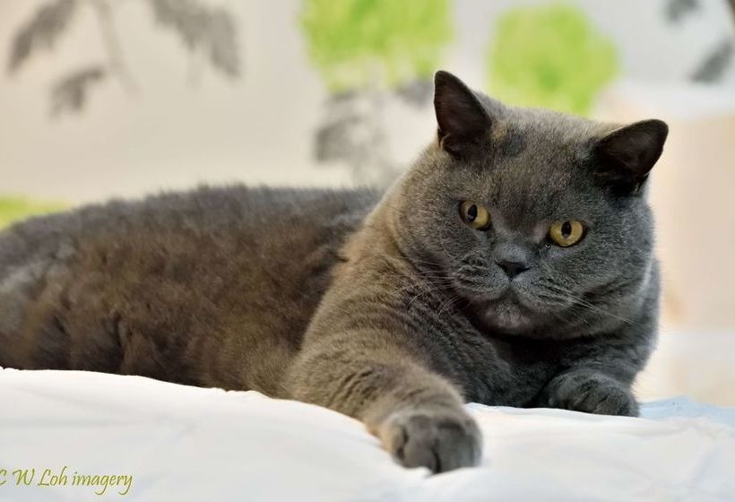 De Preaux Lodge Luxury Bed & Breakfast