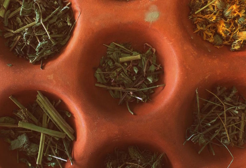 ホテル Akasha Wellness Retreat Adults Only