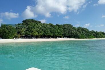 هتل Surf Retreat