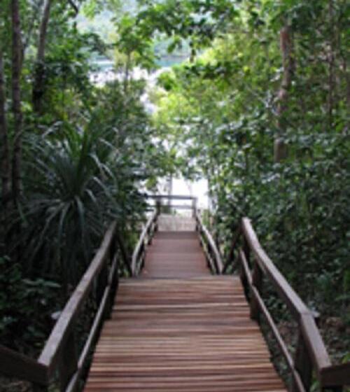 Tawali Leisure & Dive Resort