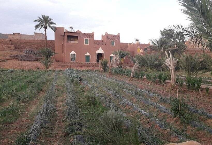 Hostel Jnane Dar Diafa Is In The Center Of Tamegrouteface Of The Bibiotheque