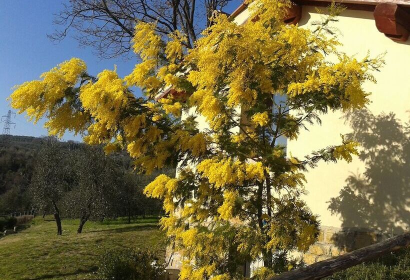 Отель Agriturismo Biologico Poggiopiano
