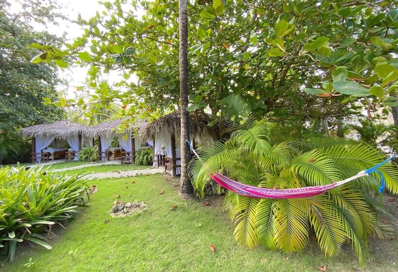 ホテル Ducassi Suites Rooftop Pool Beach Club & Spa