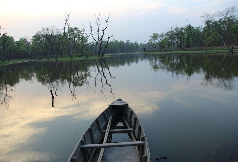 هتل Jungle Sunset Camp