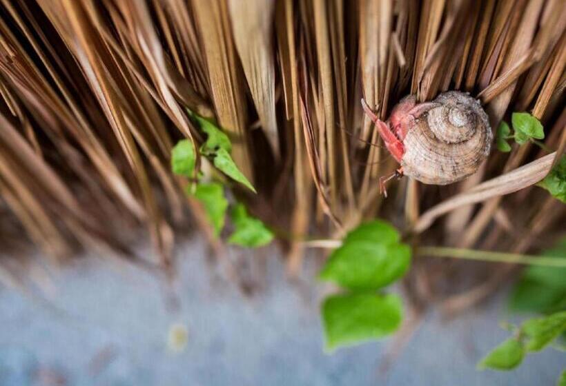 בית מלון כפרי Koh Mook De Tara Beach Resort