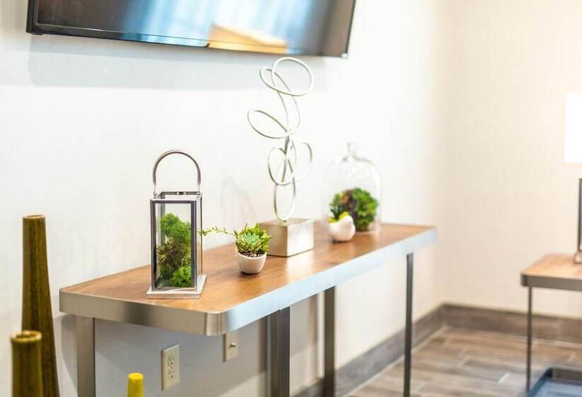 فندق The Mulberry