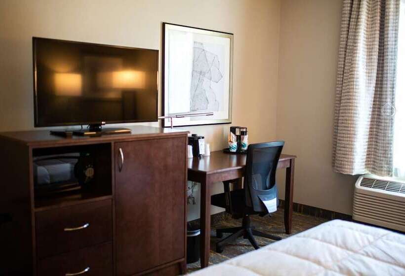 فندق The Mulberry