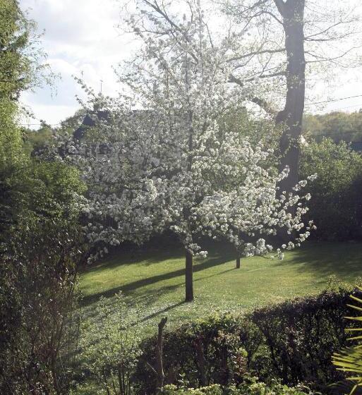 پانسیون Au Charme Du Lac Piscine Chauffé Proche Parc Et Restaurant Du Casino