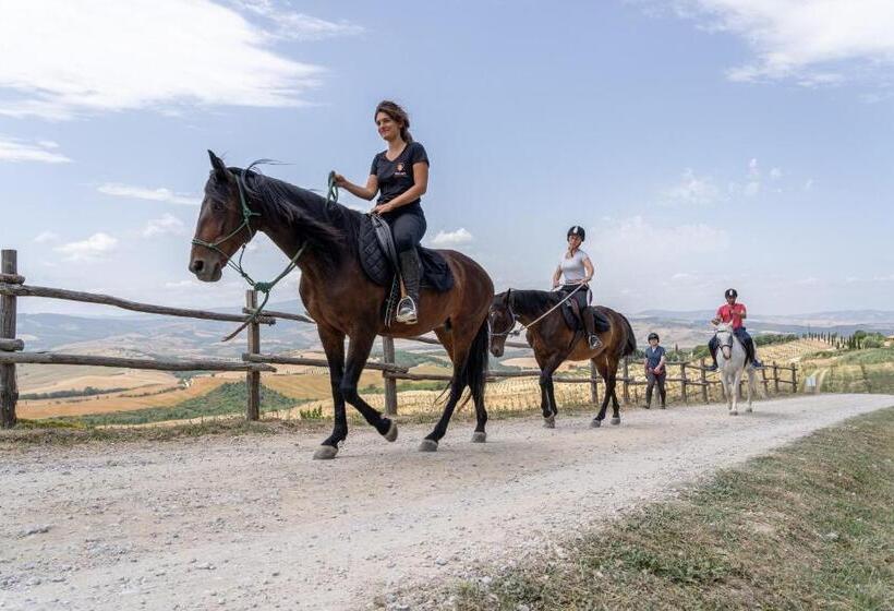 Podere Val D Orcia  Tuscany Equestrian