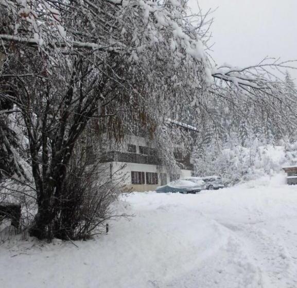 هتل Casa Alpina Dobbiaco