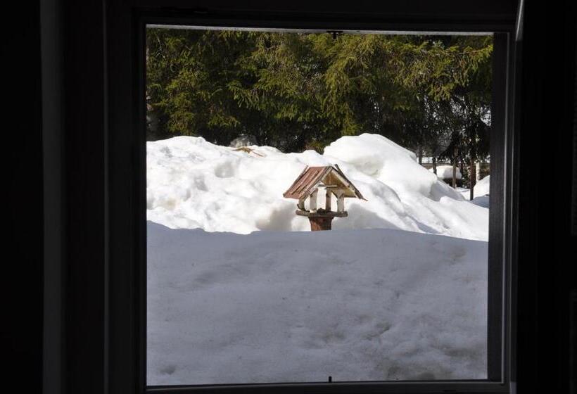 هتل Casa Alpina Dobbiaco
