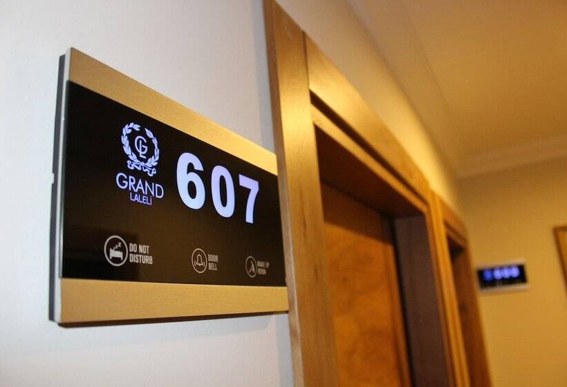 Fotos del hotel Grand Laleli:  6