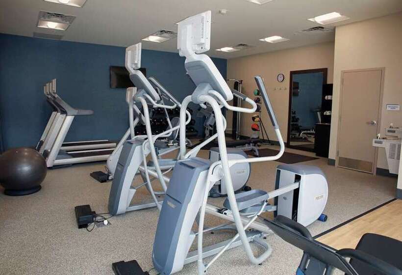 Отель Hilton Garden Inn Tampa Wesley Chapel, Fl