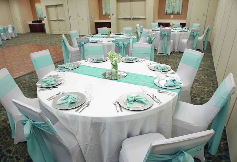 Отель Hilton Garden Inn Tampa Wesley Chapel, Fl