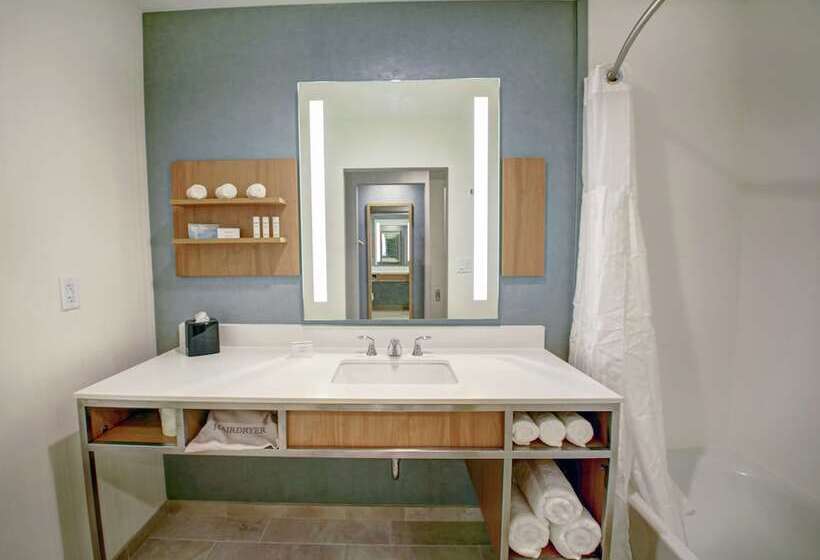 Отель Hilton Garden Inn Tampa Wesley Chapel, Fl