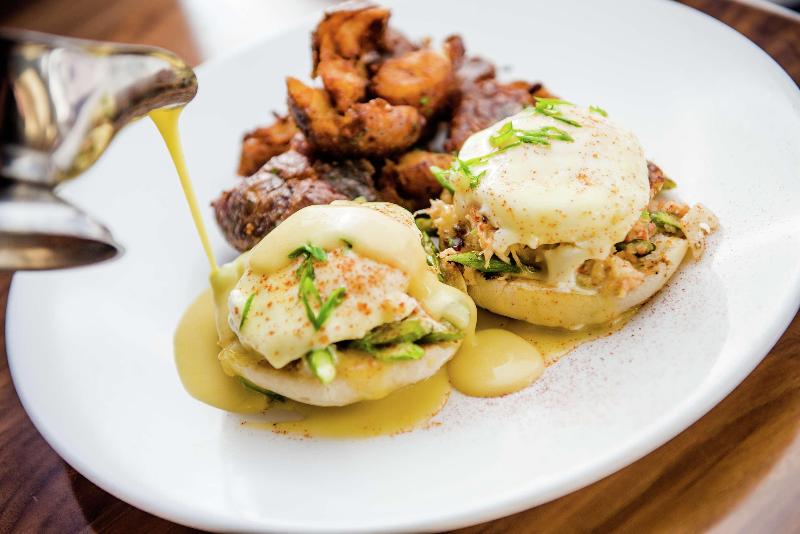 هتل Hilton Rochester Mayo Clinic Area