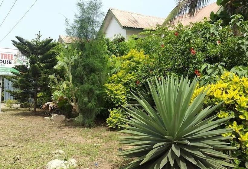 پانسیون Almond Tree Guest House