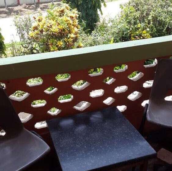 پانسیون Almond Tree Guest House