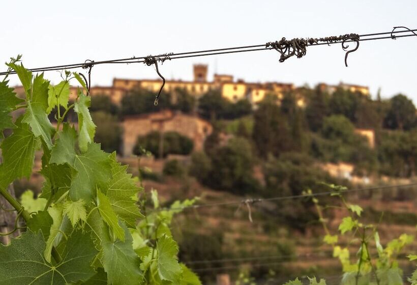 Tenuta Cortedomina