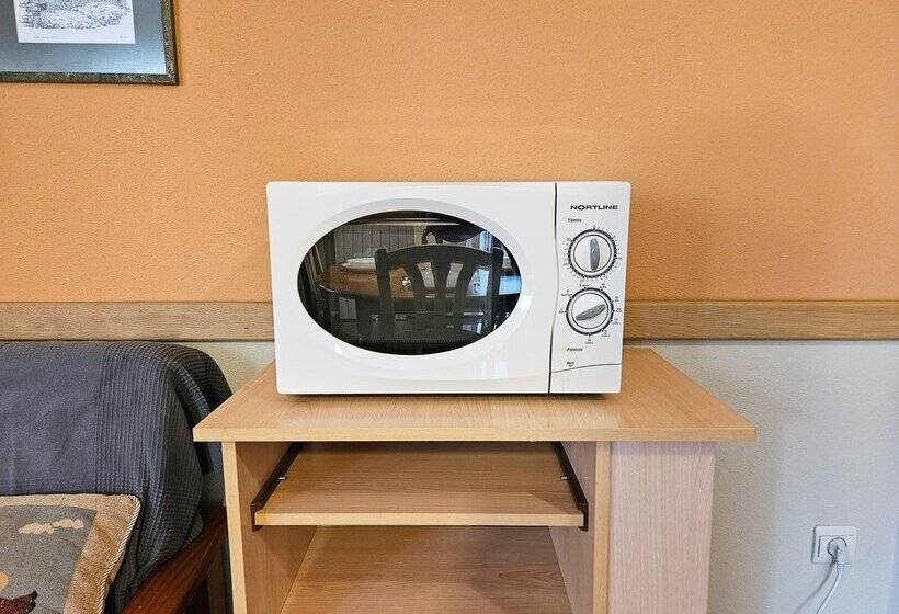 Apartamentos Gavín Biescas 3000