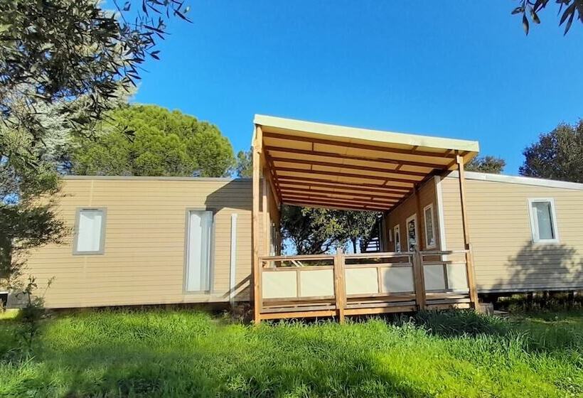 هتل Camping Tikayan Les Cigales