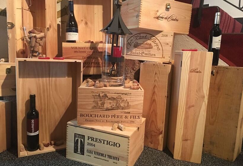 酒店 Mountain Lodge Sedrun