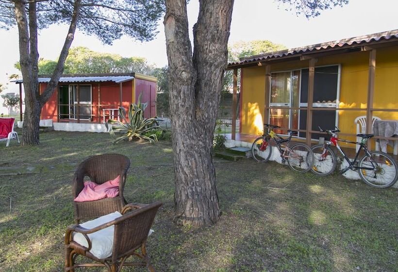 هتل Residence Sa Pintadera