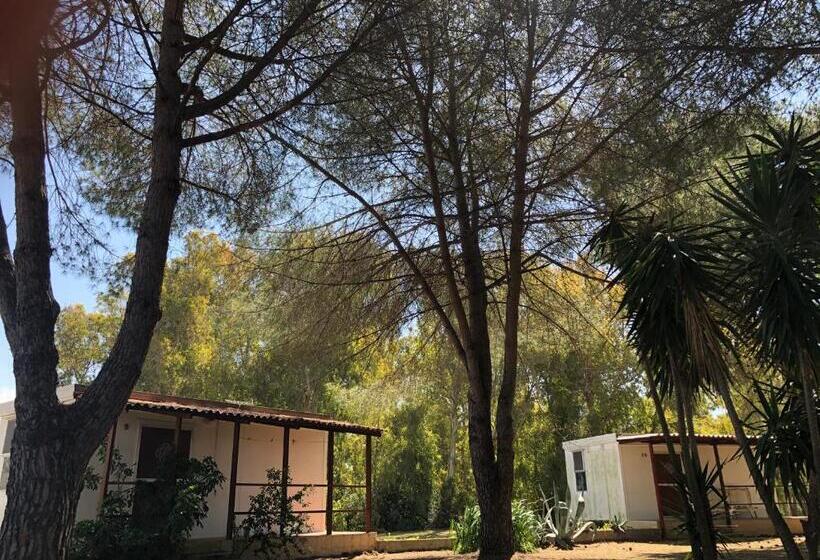 هتل Residence Sa Pintadera